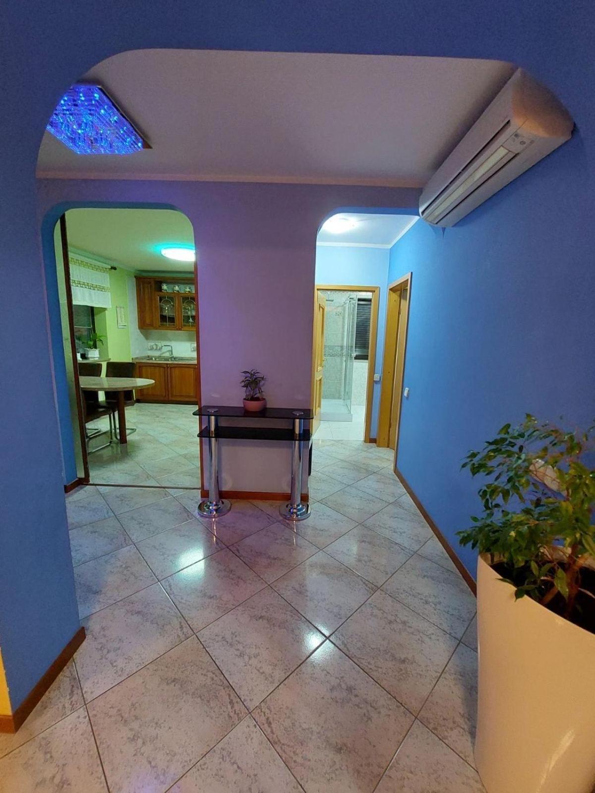 Apartma Mimi Dekani Zewnętrze zdjęcie